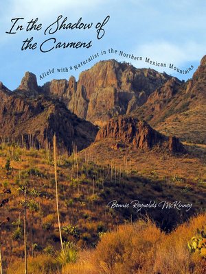 cover image of In the Shadow of the Carmens